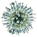 Flu Virus